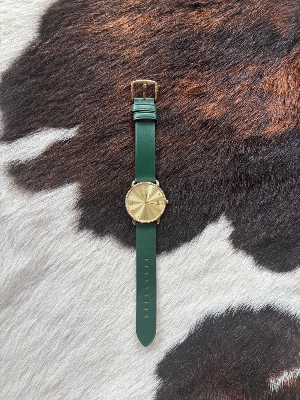 Coach Gold Dial Watch with Green Strap